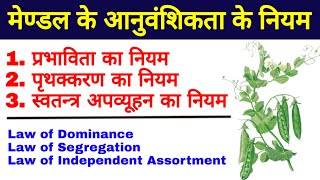 मेण्डल के नियम (Mendel's Laws)| mendel ke niyam | law of Mendel in hindi | biology science sk