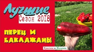 Перец и баклажаны. Теплица и открытый грунт. Проверено Сибирью!