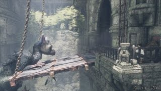 【PS4】人喰いの大鷲トリコ（THE LAST GUARDIAN） - 5時間以内クリア＆死亡なし攻略 PART 9
