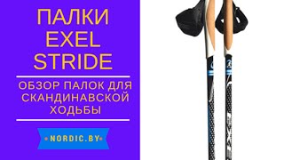 Палки для скандинавской ходьбы Exel Stride