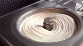 Vanilla Bean Ice Cream