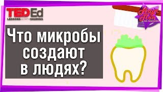 ? Микробы создают джунгли вокруг и внутри нас?! [ ted ed на русском ]