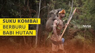 Suku Kombai Berburu Babi Hutan