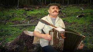 Дан на ДЕМБЕЛЬ приказ! ? Очень грустная песня под гармонь.
