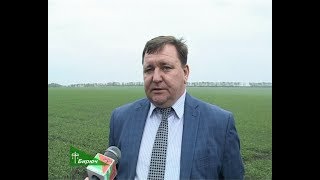 Руководители СХ предприятий района поздравили работников отрасли с праздником. 06.10.2017