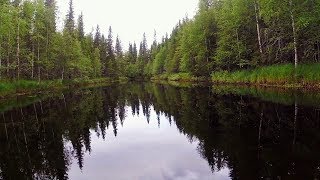 Рыбалка сплавом по таёжной реке. ЛОСИ. Хариус в пороге