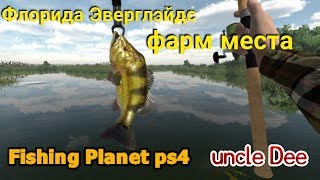 Эверглэйдс фарм-Fishing planet PS4