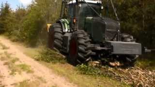Fendt 936 & Seppi M Superforst 225 mulcher (1/3)