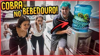 BEBEDOURO COM ÁGUA DE COBRA!! - TROLLANDO AMIGAS [ REZENDE EVIL ]