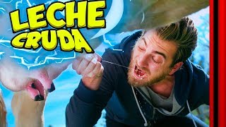 ⭕ La LECHE CRUDA es peligrosa? ? Las 5 pruebas definitivas