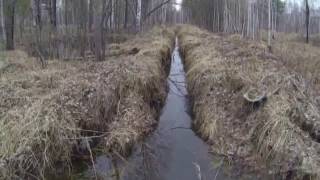 что скрывают тюменские леса