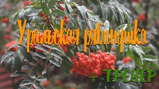 УРАЛЬСКАЯ РЯБИНУШКА / Разбор на гармони + ТРЕНЕР