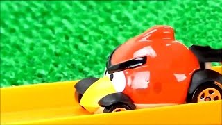 Вау гонки Энгри Бердз! Игрушки машинки ангри берс