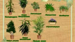 MASTER_SHUFUTINSKIY_MP4 1024 PAL Streaming