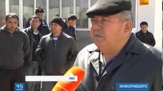 Кінә кімнен?