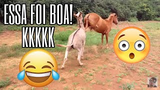 1° tentativa de cobertura deu errado kkkk