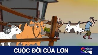 CUỘC ĐỜI CỦA LỢN - Phim hoạt hình hay - Câu chuyện cuộc sống - Bài học ý nghĩa - Khoảnh khắc kỳ diệu