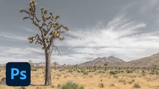 Three Tips for Photoshop’s Crop Tool