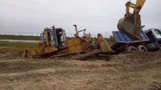 Сургутнефтегаз отсыпка площадки.