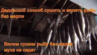 Вялим рыбу по дедовски Муха больше не сядет Как сушить рыбу вялить рыбу без марли
