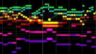 Bach, Brandenburg Concerto 4, complete, Bach Collegium Japan