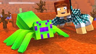 O ZUMBI VIROU UMA ARANHA !! - [ Vida de Aranha #13 ] - Minecraft