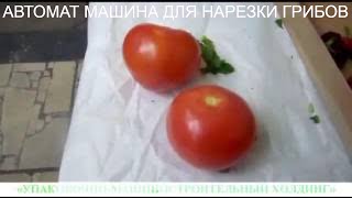 АВТОМАТ МАШИНА ДЛЯ НАРЕЗКИ ГРИБОВ,  ЛУКА, ОГУРЦОВ, ПОМИДОРОВ, ПЕТРУШКИ И ДР .