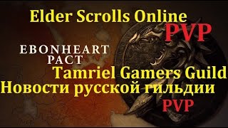 TESO Tamriel Gamers: Новости Гильдии #3 - ПВП и Осады.