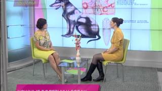 Школа здоровья 12/10/2013 Кожные болезни у собак
