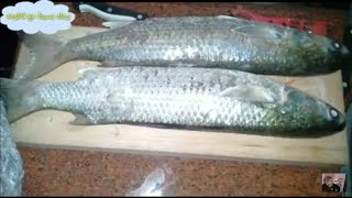 غدا اسكندرانى || سمك سنجارى طريقة تنظيف السمك والطبخ فى الفرن مع رز وسلطه