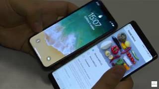 Apple iPhone X - дисплей, сравнение с iPhone 8 Plus и Samsung Note 8
