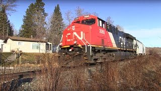 CN Train Spotting HD: CN 3080 & DPU 2833 Leads CN U771 West At Sunset Ave 6/9 2/17/17