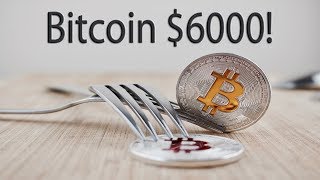 Bitcoin Hard Forks Will Determine Future Crypto Prices