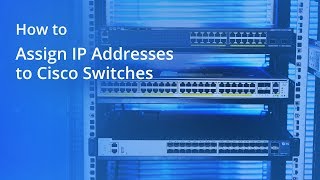 How to Assign IP Addresses to Cisco Switches | FS