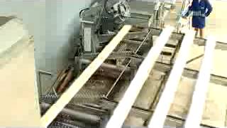 Многопильный станок PAUL S900