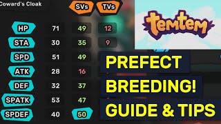 PREFECT STATS BREEDING! Best Guides & TIps | TemTem Pokemon!