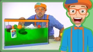 Blippi Slime | Sink or Float Science for Kids