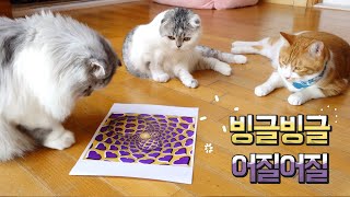 눈이 돌아간다옹? 고양이에게 착시그림을 보여줬어요. ?