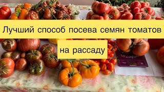 Лучший способ выращивания томатов на рассаду ? БЕЗ пикировки!!!???