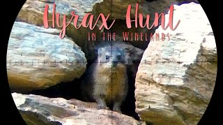 Hyrax Hunt in the Winelands | Random Hunts, Vol.12