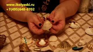 мастер-класс по новогоднему декору ракушек и созданию новогодних украшений