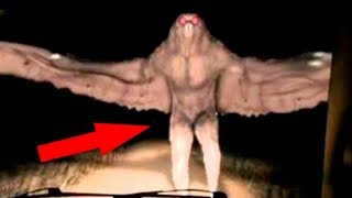 НАУКА ЭТО ОТРИЦАЕТ! НО ЭТИ СУЩЕСТВА РЕАЛЬНЫ И ЖИВУТ НА СТЫКЕ МИРОВ / ВИДЕО ФАКТЫ!