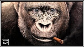 Китайцы соединили мозг обезьяны и человека