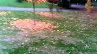 MJX T 34 serie RC HELI with KEYCHAYN cam: test 2