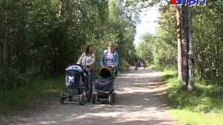 Пособия многодетным матерям