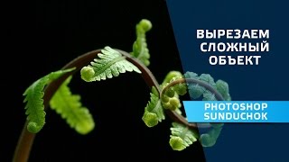 Как вырезать объект в фотошопе | Вырезаем сложный объект