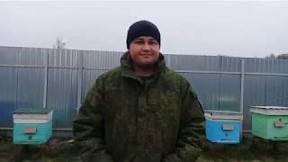 ?Холодная зимовка пчел 2019-2020 ч.2. Проверка пчелосемей.