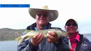 Twitching Lure электронный воблер рыбка-приманка. Отзывы, цена, купить.
