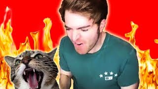 Did Shane Dawson DO IT with his Cat?