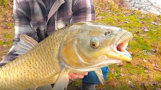 I Miei Primi GIGANTI AMUR A Floating Feeder E NON SOLO!! Pescata EPICA Invernale in Lago ai BIG FISH